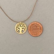outline tree of life coin cropped