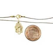 Hamsa string COIN
